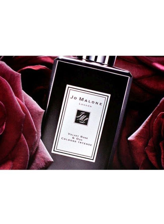 jo Malone Velvet Rose And Oud Cologne Intense 50ml - Image 5