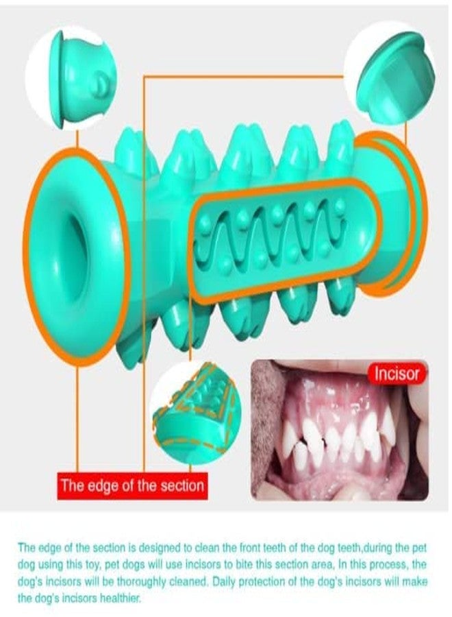 Pups&Pets Pet Oral Toothbrush Rubber Bone Chew Treat Dispenser Toy Ideal for Teeth Cleaning and Playing Aggressive Chewers Dogs and Puppies (Multicolor) - Image 4