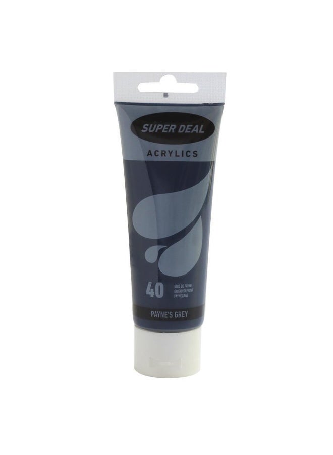 SD4212-40 Acrylic Paint-75ml Paynes Grey