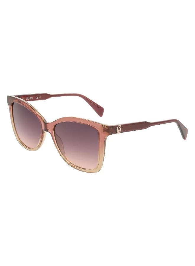 Liu Jo  Butterfly Sunglasses for Women | Best Price UAE