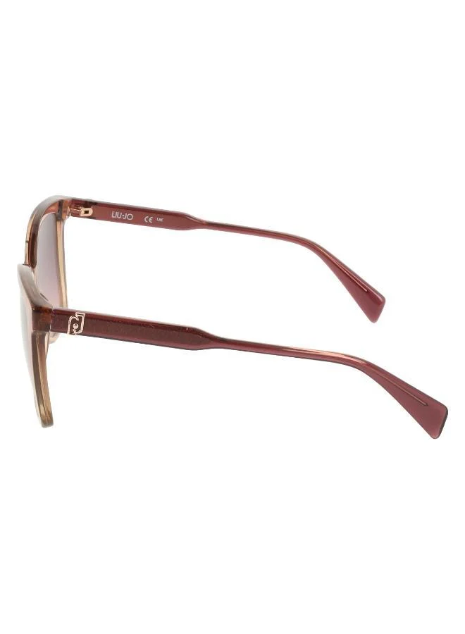 Liu Jo  Butterfly Sunglasses for Women | Best Price UAE
