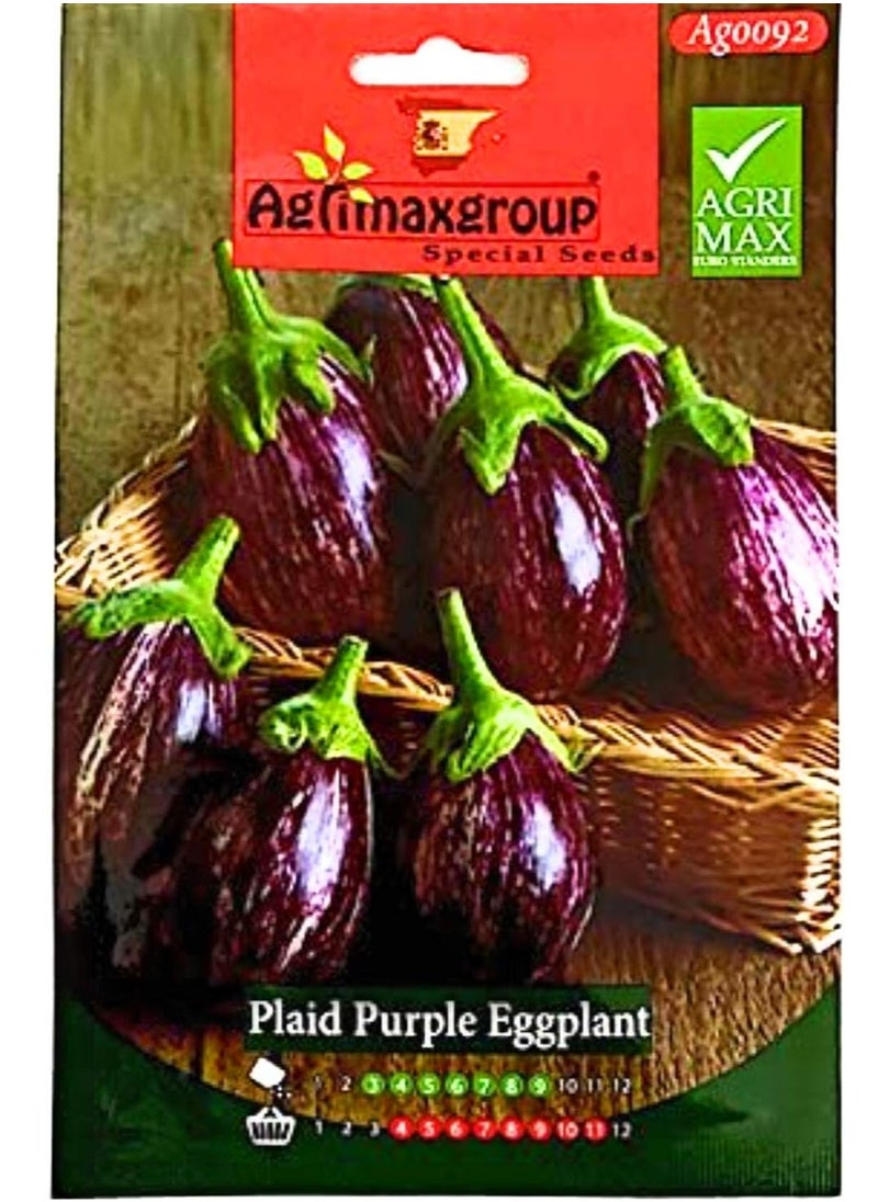 أجريماكس - بذور الباذنجان المنقوشة Agrimax (الأرجواني) - Image 1