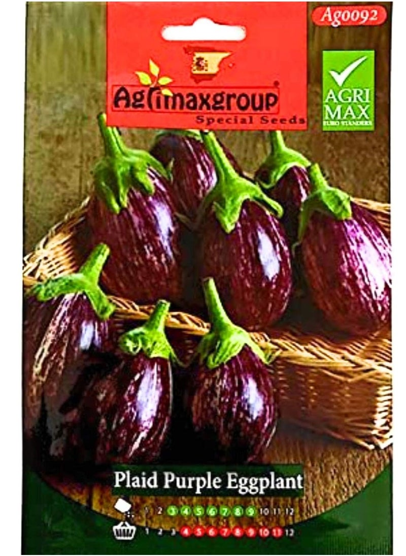أجريماكس - بذور الباذنجان المنقوشة Agrimax (الأرجواني) - Image 1