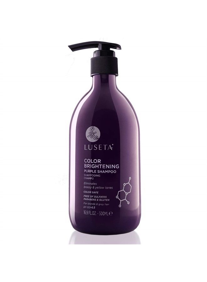 L LUSETA Luseta Purple Shampoo for Blonde Hair 16.9oz, Women Hair Shampoo for Grey Hair and Color Treated Hair, Best Purple Shampoo for Curly and Damaged Hair, Sulfate & Paraben Free - Image 1