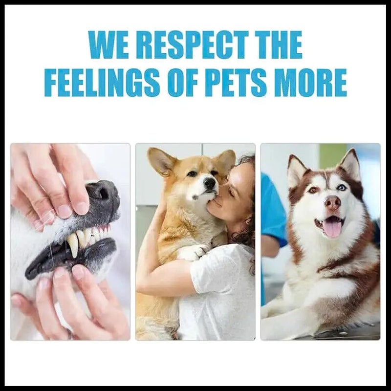 Pets Dental Toothpaste for Cats & Dogs, Beef Flavor, Cleans Teeth, Fights Bad Breath & Promotes Strong Teeth (100g) - Image 4