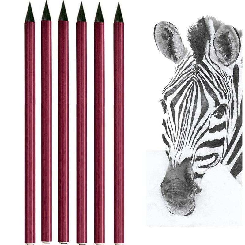 EKTA STATIONERY EKTA STATIONERY? Coloured Woodless Graphite Charcoal Sticks for Drawing, Writing, Shading, Colouring Sketch Pencil Tool Stationery Art Illustration (6 Pcs Woodless Graphite HB, 2B, 4B, 6B, 8B and EE)  - Image 4