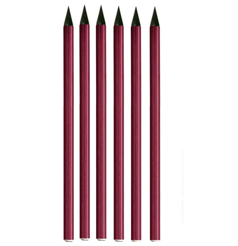 EKTA STATIONERY EKTA STATIONERY? Coloured Woodless Graphite Charcoal Sticks for Drawing, Writing, Shading, Colouring Sketch Pencil Tool Stationery Art Illustration (6 Pcs Woodless Graphite HB, 2B, 4B, 6B, 8B and EE)  - Image 1