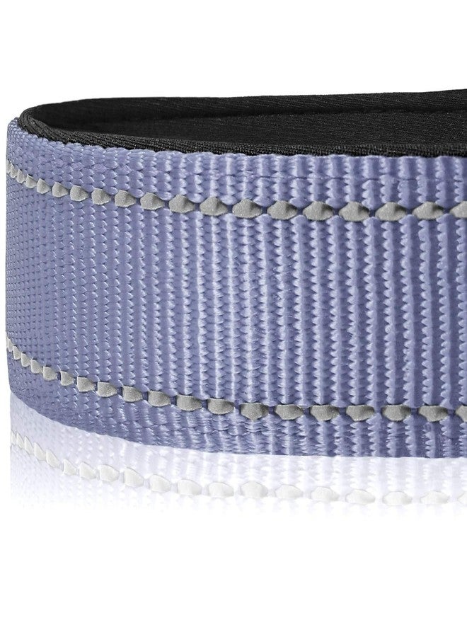 Berlin's PET ACCESSORIES Berlin's Reflective 1inch Dog Collar and Leash Set with Adjustable fit, Strong Metal Clip, and Handle. Ensures Comfort, Control, and Safety for Daily Walks, Training, and Outdoor Adventures (Grey) - Image 3