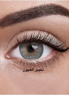 Wolf Grey Yearly Colored Contact Lenses, Unisex Cosmetic Contact Lenses, Enlargement Collection, Light Grey, With Case - pzsku/Z83B41D65AE34EFF818D5Z/45/_/1724768768/3afa28f0-023e-4ea5-848a-19e7c3b988ef