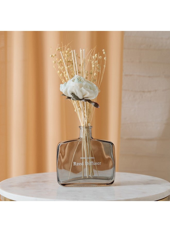 Home Box Seyna Sola Kuri Bud Reed Diffuser Bottle without Fragrance Solution 16 x 38 x 5 cm  - Image 1