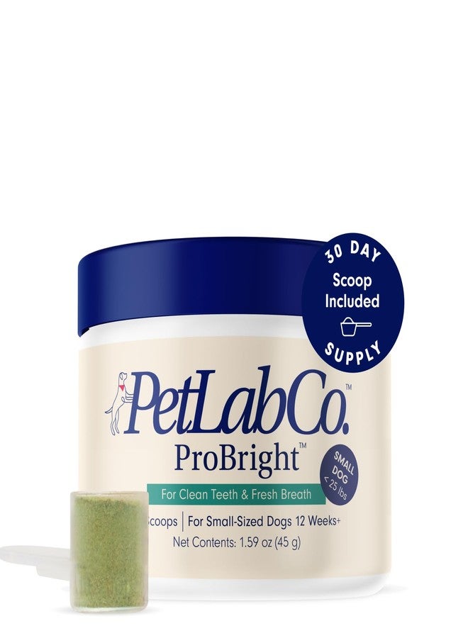 PetLab Co. ProBright Dental Powder - Dog Breath Freshener - Teeth Cleaning Made Easy - Targets Tartar & Bad Breath - Formulated for Small Dogs - Packaging May Vary - Image 1