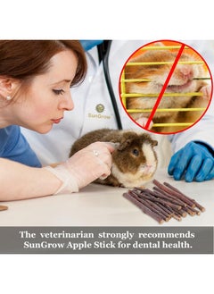 SunGrow SunGrow Apple Sticks, Wood Chew Sticks for Rabbits, Chinchillas, Bunny, Hamster, Squirrel, Guinea Pigs, Small Animals Molar Pet Chew Toys Treat Sticks for Teeth Grinding 200g (7 oz)  - Image 5