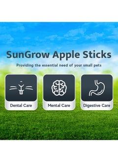 SunGrow SunGrow Apple Sticks, Wood Chew Sticks for Rabbits, Chinchillas, Bunny, Hamster, Squirrel, Guinea Pigs, Small Animals Molar Pet Chew Toys Treat Sticks for Teeth Grinding 200g (7 oz)  - Image 3