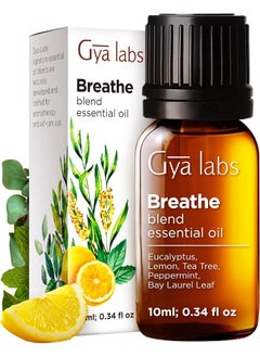 Gya Labs Breathe Essential Oil Blends - 100% Therapeutic Grade Breathe Easy Essential Oils from Eucalyptus, Peppermint Oil and More, for Sinus Relief, Humidifier Cleaner & Congestion (10ml) - pzsku/Z83B9478CCBCA2402B796Z/45/_/1739961789/0ef374ff-9cc2-4b1c-bfa5-9d07e6187ef6