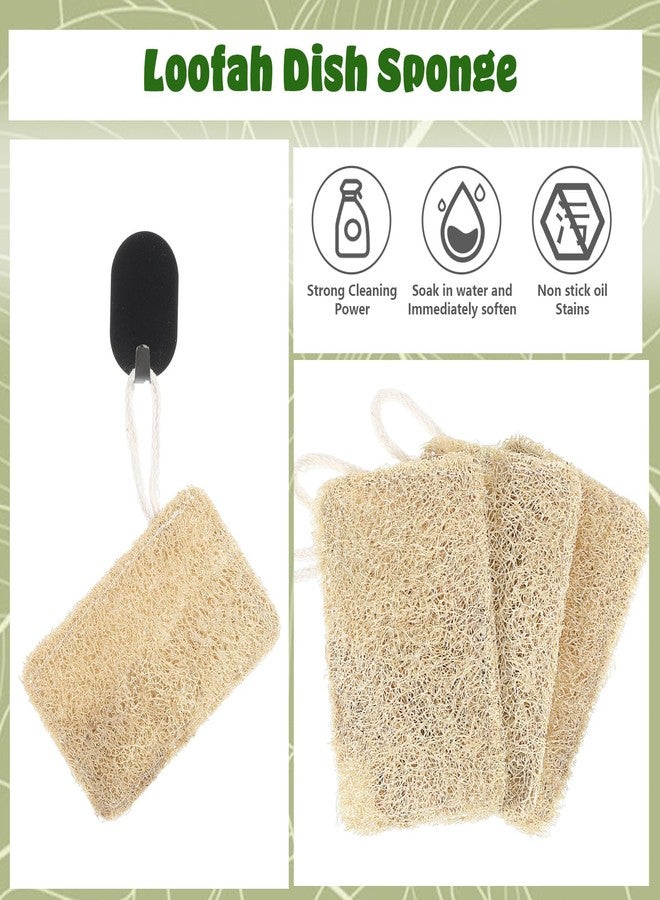 Elegaperma 3Pcs Natural Loofa, 100% Real Natural Loofah Sponges Set, Loofah Sponge for Dishwashing, Luffa Sponges - Image 5