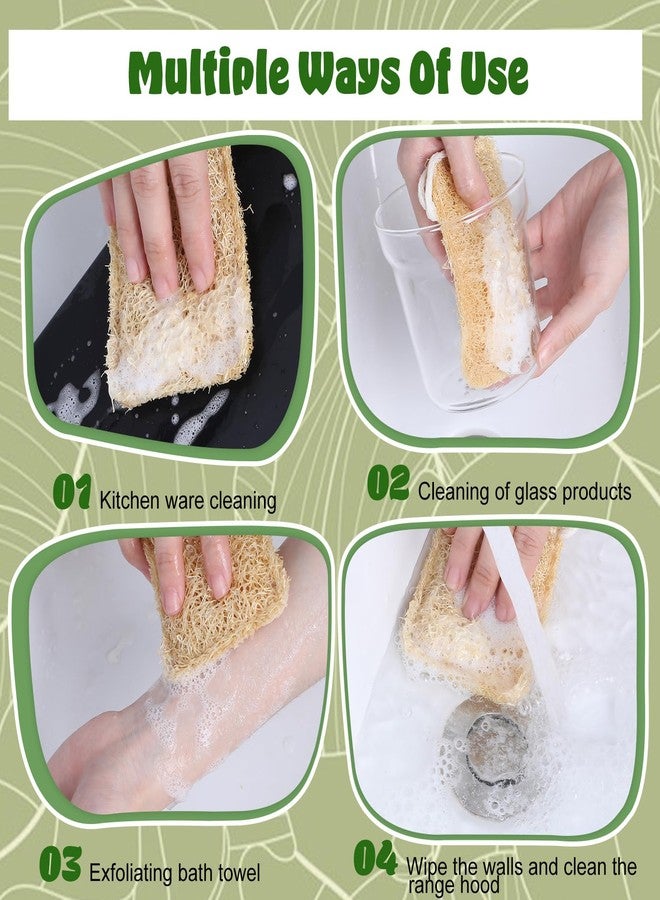 Elegaperma 3Pcs Natural Loofa, 100% Real Natural Loofah Sponges Set, Loofah Sponge for Dishwashing, Luffa Sponges - Image 4