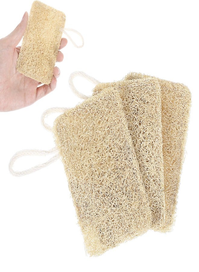 Elegaperma 3Pcs Natural Loofa, 100% Real Natural Loofah Sponges Set, Loofah Sponge for Dishwashing, Luffa Sponges - Image 1
