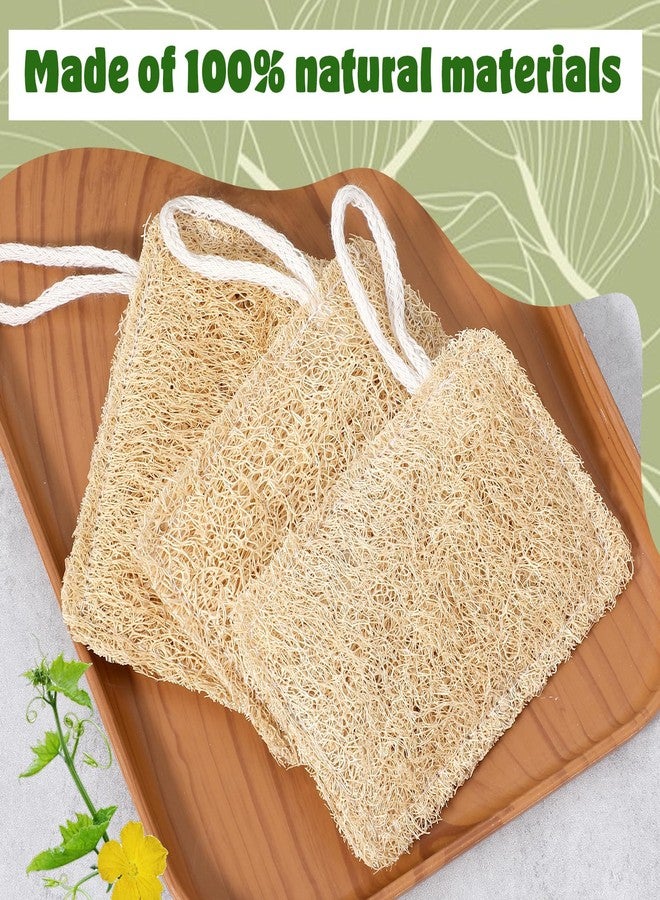 Elegaperma 3Pcs Natural Loofa, 100% Real Natural Loofah Sponges Set, Loofah Sponge for Dishwashing, Luffa Sponges - Image 3