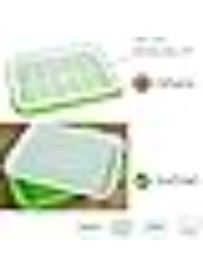 Meridian 2-Pack Seed Germination Trays | BPA-Free Plant Seedling Starter Trays for Wheatgrass, Cat Grass, Microgreens & Indoor Gardening - Green - Image 3