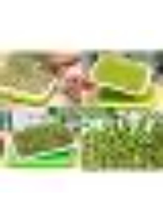 Meridian 2-Pack Seed Germination Trays | BPA-Free Plant Seedling Starter Trays for Wheatgrass, Cat Grass, Microgreens & Indoor Gardening - Green - Image 2