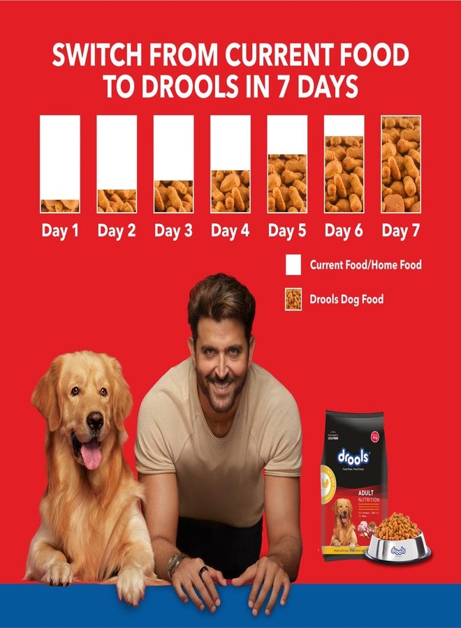 Drools Adult Dry Dog Food 3kg Pack | Chicken and Egg Flavour | Omega 3 & 6 for Healthy Growth | Better Digestibility & Health | Maintains Joint Health | Helps Control Tartar Buildup - Image 4