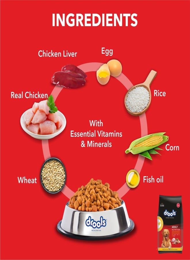 Drools Adult Dry Dog Food 3kg Pack | Chicken and Egg Flavour | Omega 3 & 6 for Healthy Growth | Better Digestibility & Health | Maintains Joint Health | Helps Control Tartar Buildup - Image 3