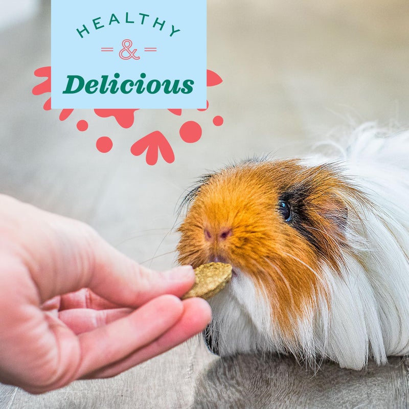 Oxbow Natural Science Multi-Vitamin, High Fiber Supplement for Rabbits & Guinea Pigs, Made with Timothy Hay, Multi-Pet Households, Omega 3 & 6 Fatty Acids, Made in USA, 4.2 oz Bag - Image 3