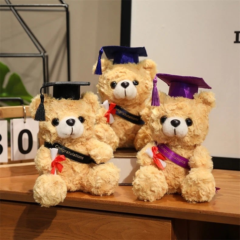 Y&D Hot New 18cm Teddy Bear Soft Plush Animal Toy PP Cotton Filled Graduation Gift for Kids - Image 5