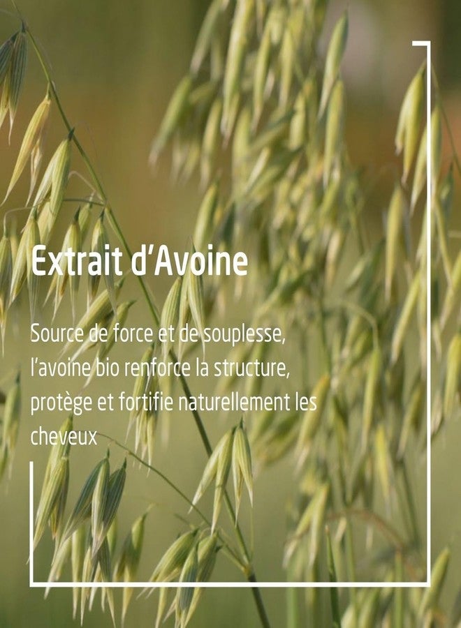 WELEDA - Shampooing Régénérant à l'Avoine - Soin Cheveux Secs et Abîmés - Flacon de 190 ml - Image 3