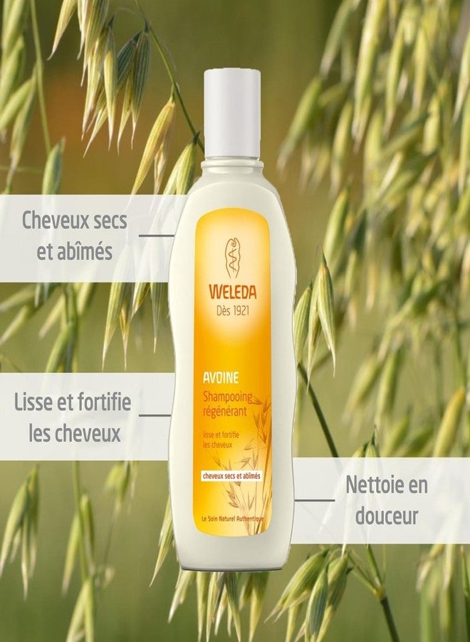 WELEDA - Shampooing Régénérant à l'Avoine - Soin Cheveux Secs et Abîmés - Flacon de 190 ml - Image 2