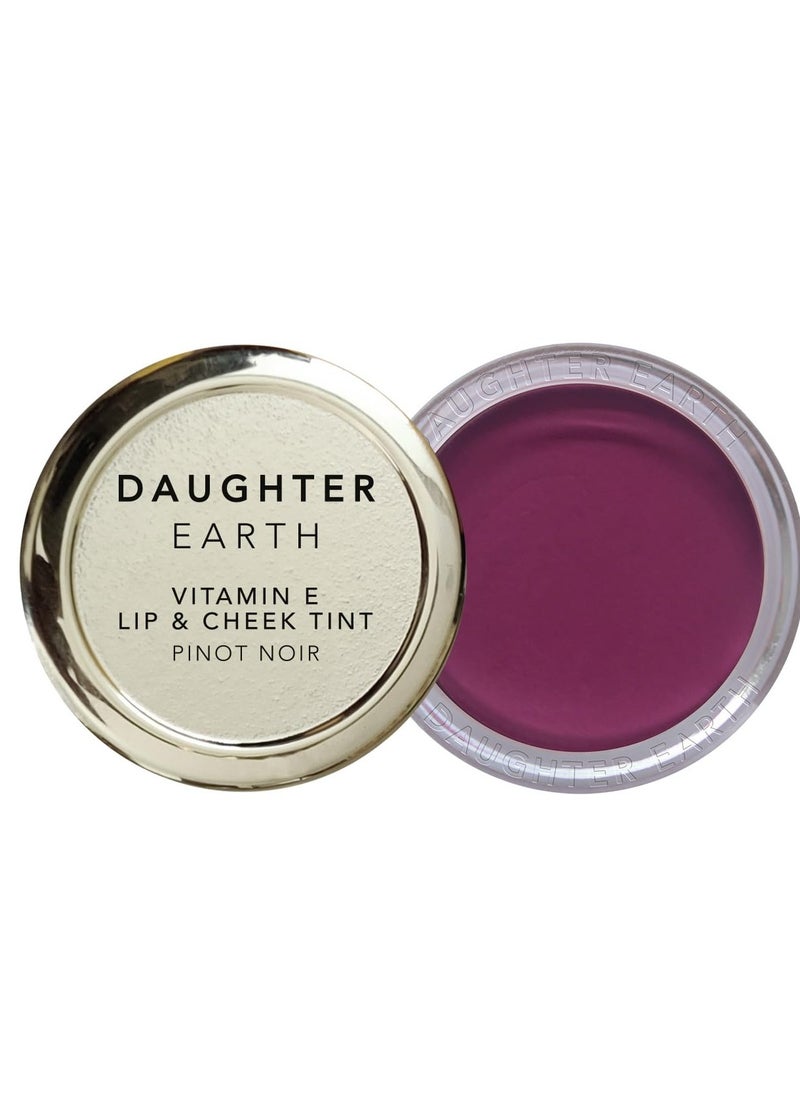 DAUGHTER EARTH Daughter Earth Vegan Lip and Cheek Tint Matte Natural Blush 4.5g  - Image 1