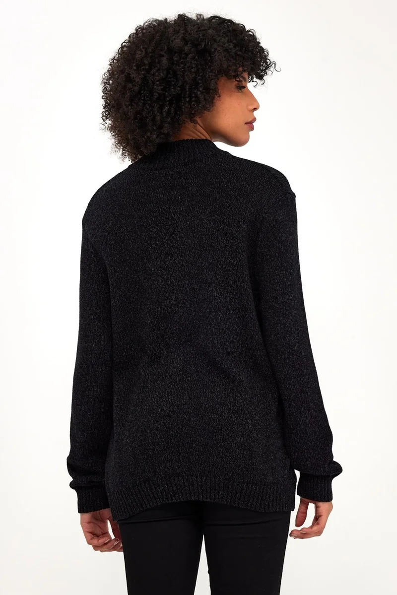 Alexander Gardi Zippered Turtleneck Casual Sweater (E21-181009)