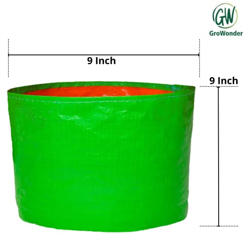 GroWonder Small Grow Bag 12x12 inch, 230 GSM Strong, Terrace Gardening Vegetable Plant Grow Bags for terrece Gardening, Woven Fabric Leafy Fruits Growing Containers, Pack of 6 - Image 3