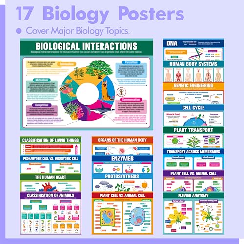 Gethelud 17 Laminated Biology Posters Human Body System Cell Anatomy DNA Photosynthesis Educational Science Charts For Middle High School Learning Tool For Classroom Bulletin Board Room 11x16 - Image 3