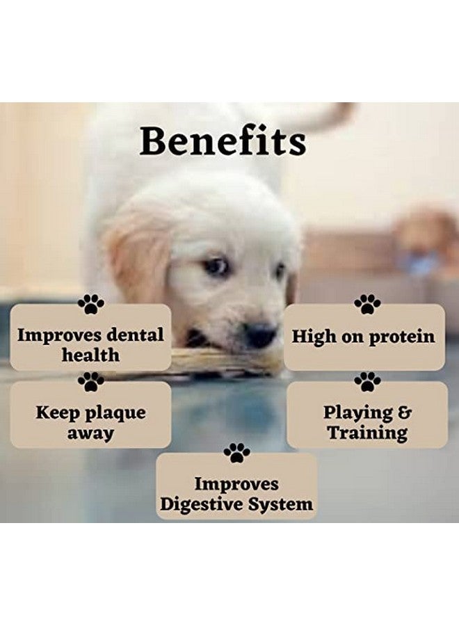 مكافأة الكالسيوم من العظام المضغوطة من Chompsters Rawhide للكلاب - 5 بوصات، 900 جرام | مناسبة للجراء والكلاب الصغيرة | أفضل عظام صحية للكلاب لتنظيف الأسنان وتنقية النفس - Image 5