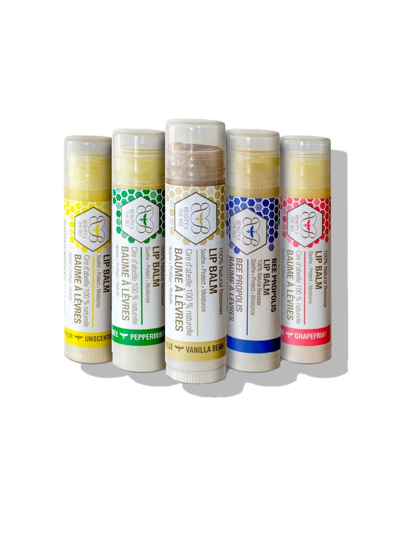 Beauty and the Bee Natural Moisturizing Lip Balm Beeswax - Natural Unscented - pzsku/Z83C70F9921044B0BDBBAZ/45/_/1734764039/0e6432ca-0415-48c0-b7ce-5e5985173a91