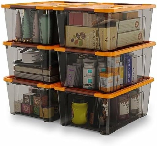 WYT Clear Storage Latch Bins, 6-Pack Storage Organizer Box with Handle and Lids,  5-Litre
