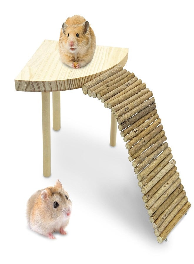 كاثسون منصة خشبية للهامستر من كاثسون مع سلم، منصة وقوف طبيعية للحيوانات الصغيرة، قفص خنزير غينيا، تنسيق الحدائق للحيوانات الصغيرة، جرذ سوري، دب ذهبي، شنشيلة (قطاع) - Image 1