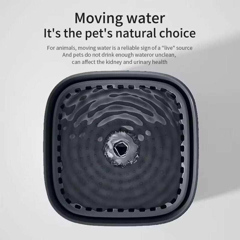BEMOONY Pet Water Fountain Super Silent - Water Fountains for All Pets Indoor - Suitable for Cats, Birds, Rabits and Dogs (Transparent01, 2L) - Image 4