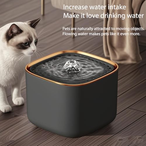 BEMOONY Pet Water Fountain Super Silent - Water Fountains for All Pets Indoor - Suitable for Cats, Birds, Rabits and Dogs (Transparent01, 2L) - Image 2