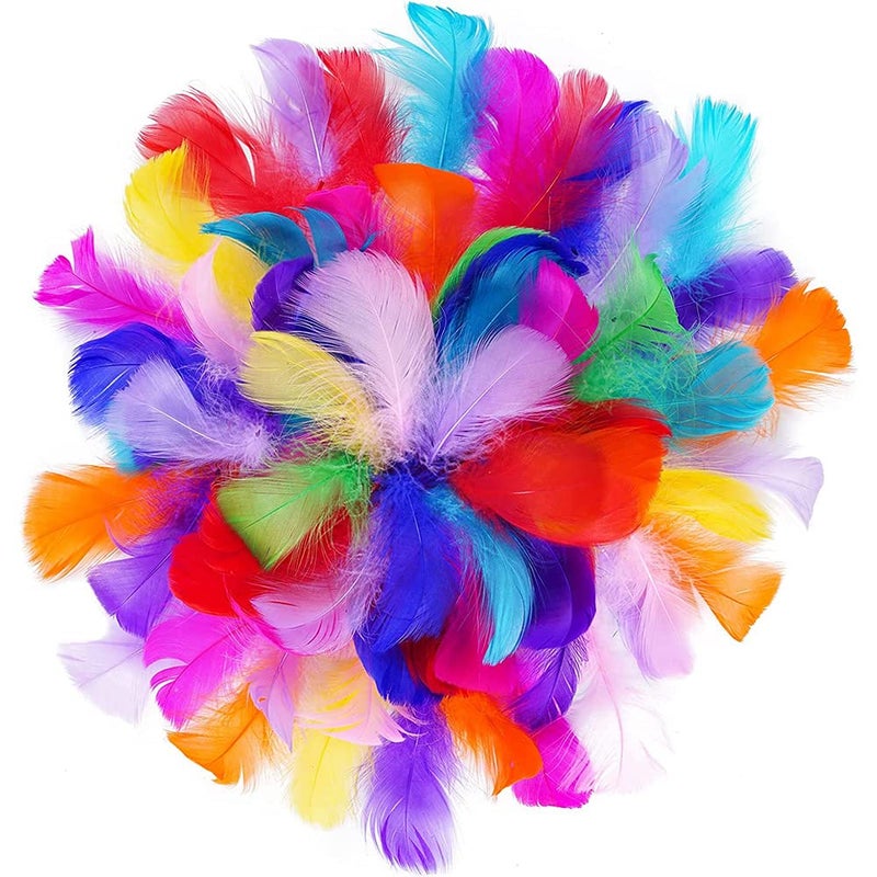 100 Pieces Colorful Feathers for Crafts Natural Goose Feathers Large Craft Feathers for DIY Handmade Crafts Gift Box Filling Ornament Decoration 58cm