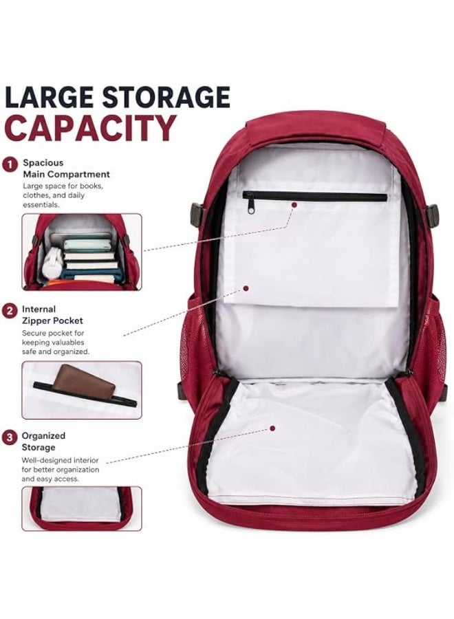 Quechua Versatile Backpack for Trips, Travel, Studying and Daily Activities – Ergonomic Design and Large Storage Capacity - Image 3