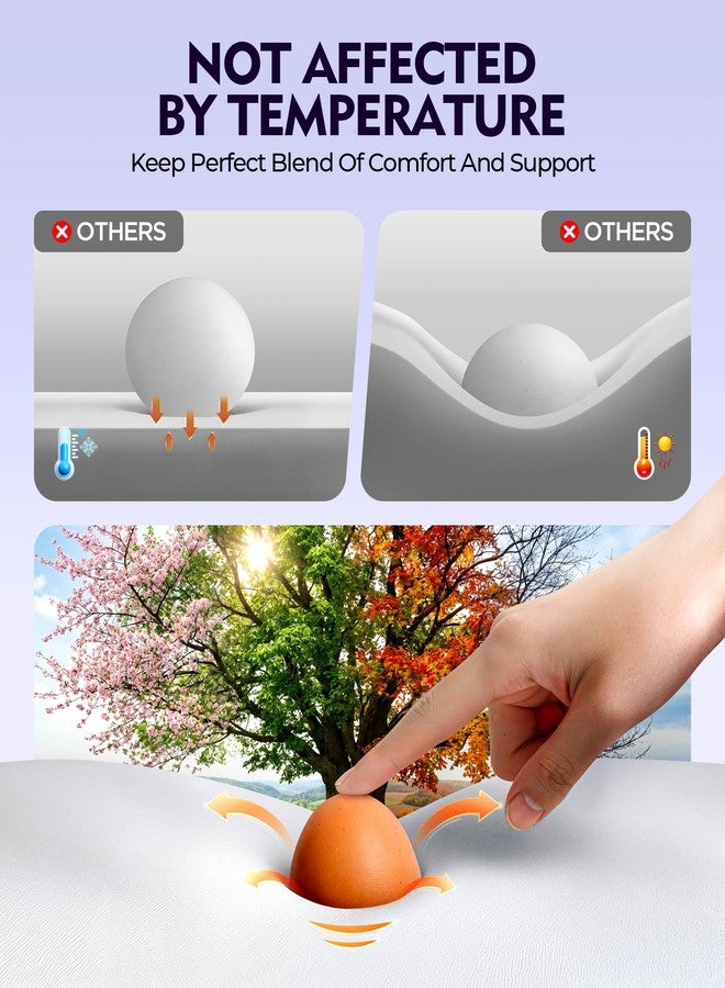 أوستيو وسادة رقبة بتصميم محيطي مُقسّم إلى مناطق عظمية لتخفيف آلام النوم بشكل أعمق، وسادة كيو-ماكس 3X للتبريد مع رغوة الذاكرة التي لا تتأثر بدرجة الحرارة، وسائد دعم مريحة للنوم على الظهر أو البطن أو الجانب - Image 5