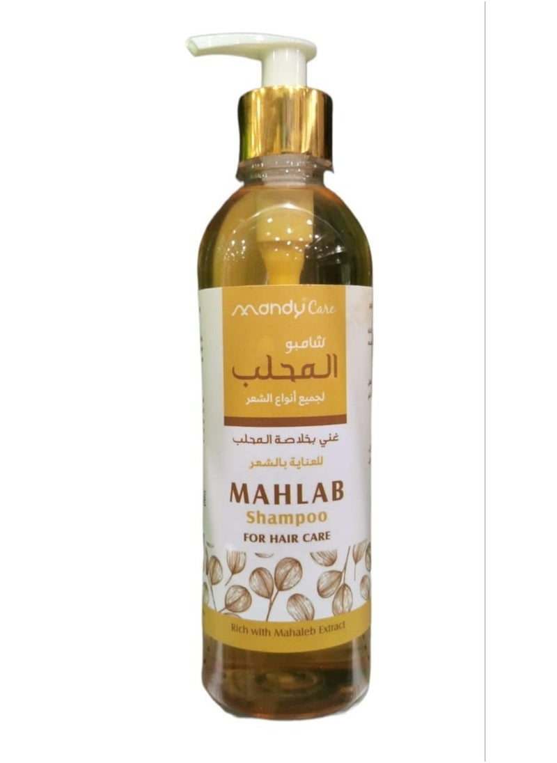 Mahlab shampoo for the care of all hair types, 400 ml - pzsku/Z83CE4E69AB2895B74AD5Z/45/_/1656431230/22b9143a-93aa-4277-a662-7f3b5eed4826