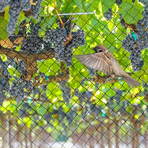 OGORI 25' x 50' Bird Netting Heavy Duty Nylon 3/4" Mesh Garden Netting Protect Fruit Trees, Plants and Vegetables - Image 3