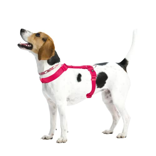 Trixie Premium Touring Harness for Dogs Made with Fleece Padding, Adjustable, and Lightweight Strong D-Ring Keeps The Harness and Leash in Place (M-L, Fuchsia) - Image 5