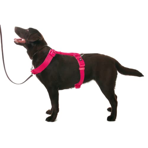 Trixie Premium Touring Harness for Dogs Made with Fleece Padding, Adjustable, and Lightweight Strong D-Ring Keeps The Harness and Leash in Place (M-L, Fuchsia) - Image 4