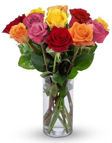 Benchmark Bouquets - 12 Stem Premium Rainbow Roses (Glass Vase Included) - Fresh Flowers for Delivery - Gift for Graduation, Birthday, Anniversary, Sympathy, Get Well, Congratulations - Image 2