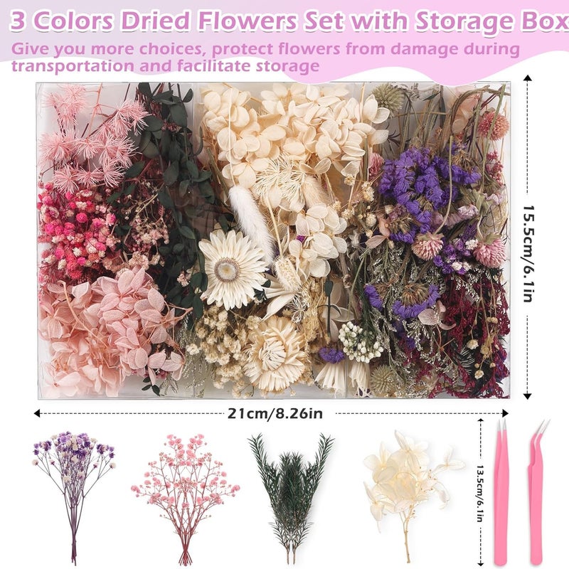 Comkrivy Real Dried Flowers 100% Natural Dried Flowers, Mixed Colors Dried Leaf Flowers for DIY Arts and Crafts Candles Resin Jewelry Nail Pendant Cards Scrapbooking Wedding Home Decoration - Image 2