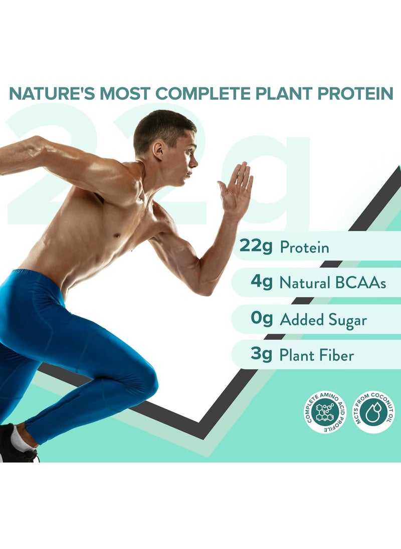 WELLBEING NUTRITION Super Food Plant Protein Combo, Dark Chocoalate Hazelnut And French Vanilla Caramel Flavor  - Image 4